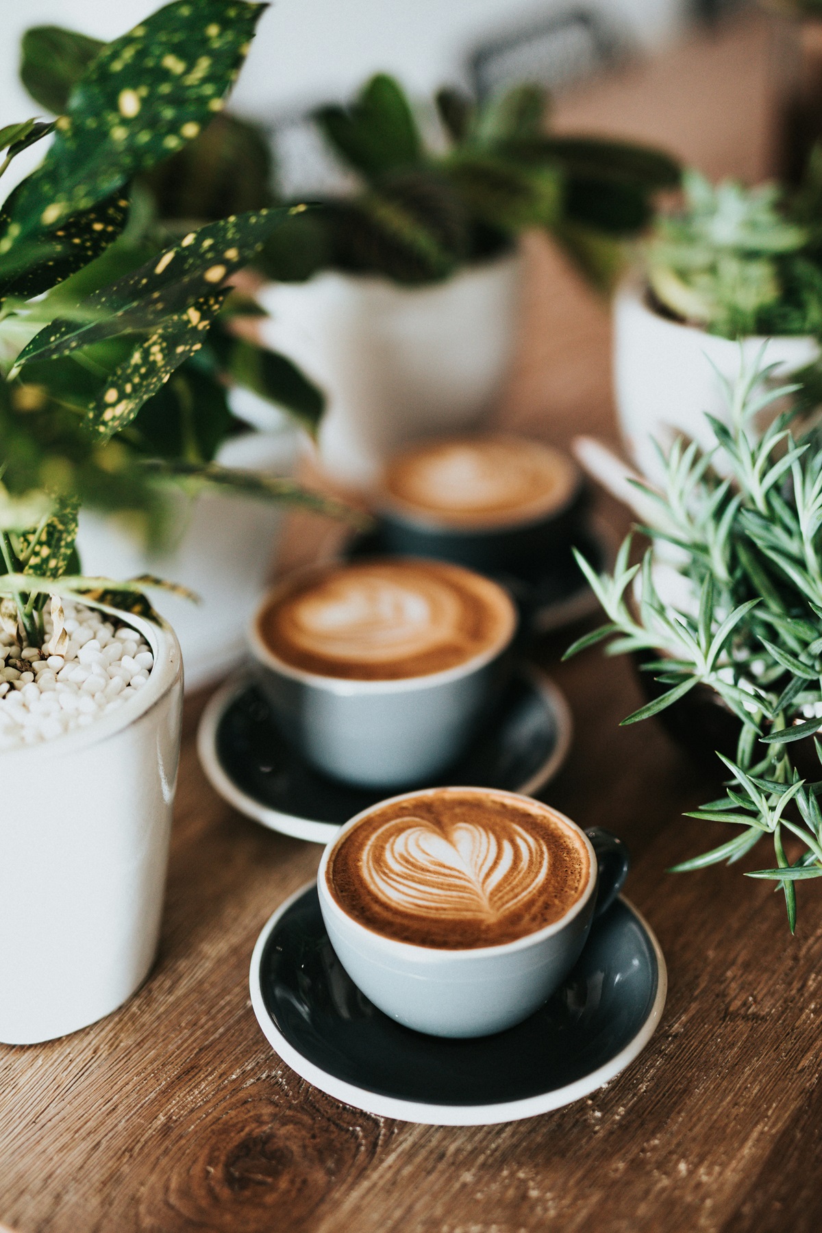 3 flat whites on a cafe table