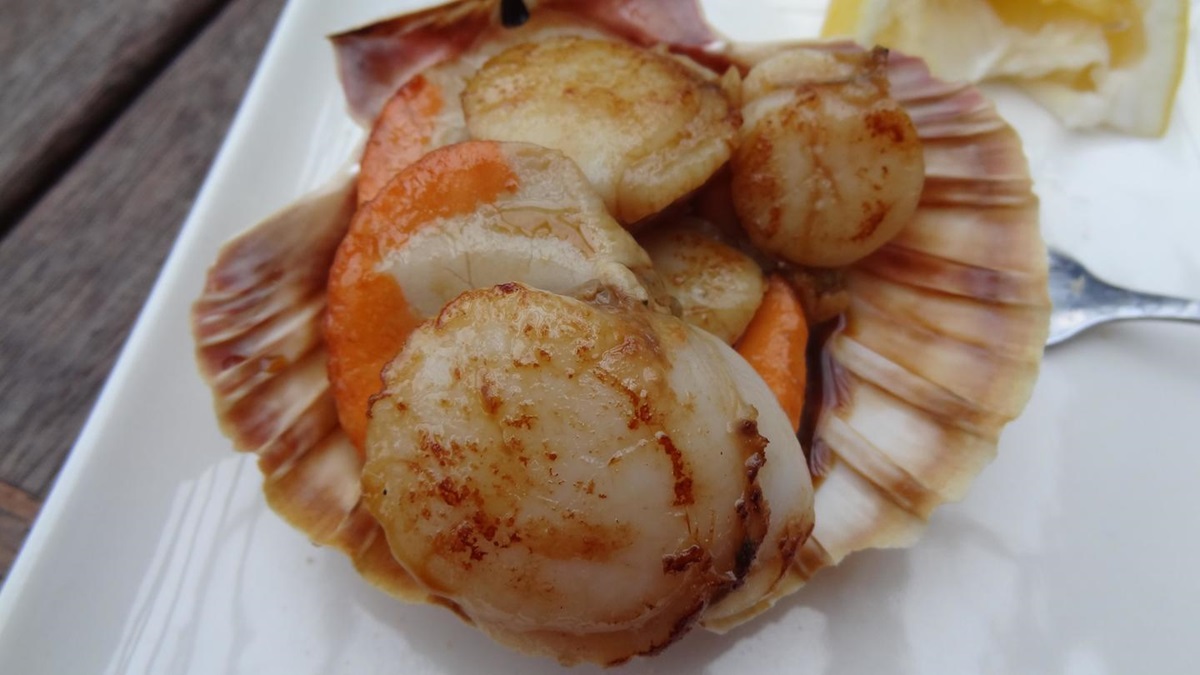 seared scallops